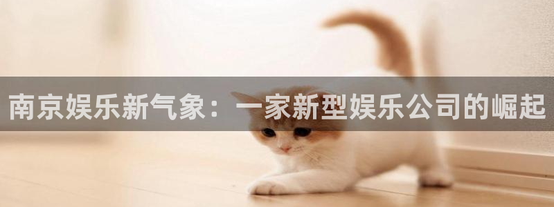 奇亿娱乐登录：南京娱乐新气象：一家新型娱乐公司的崛起
