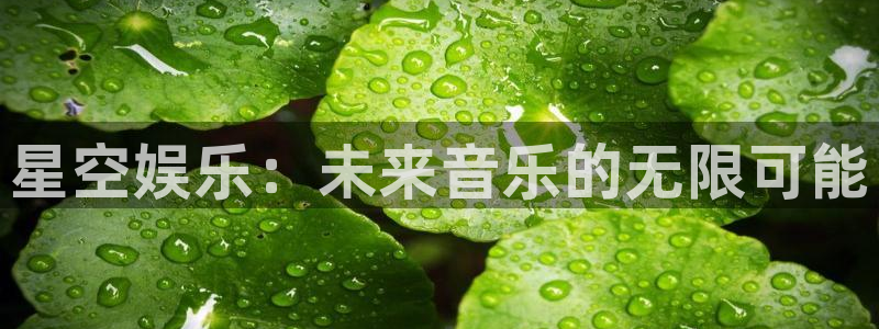 奇亿娱乐home：星空娱乐：未来音乐的无限可能
